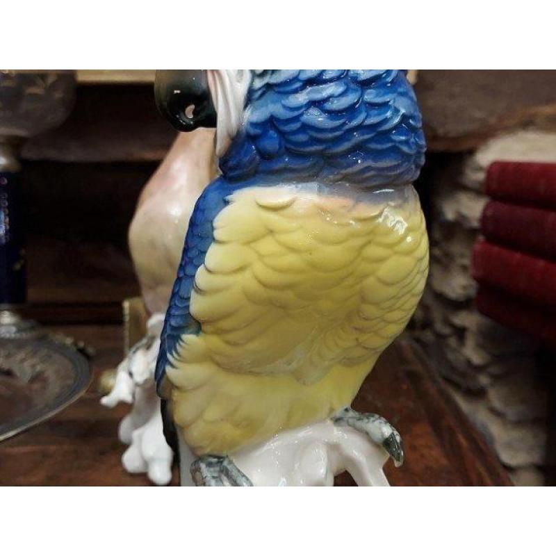 Cacatoès Oiseau En Porcelaine